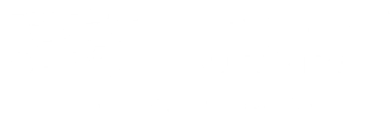 logo avioane si motoare